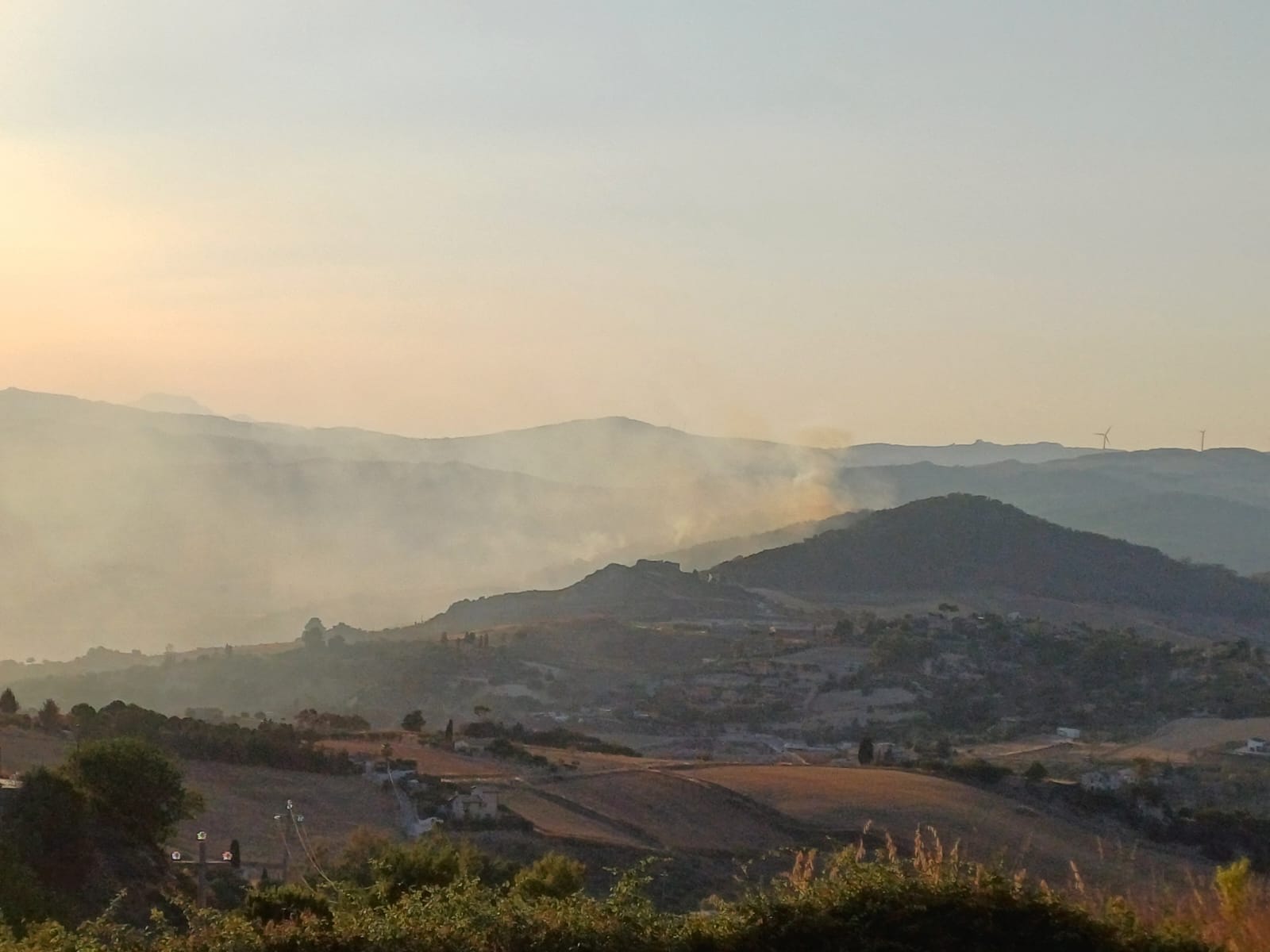 San Cataldo. Incendio a Gabara. Libertà è Partecipazione: “Il bosco distrutto è un colpo al cuore per tutti noi”