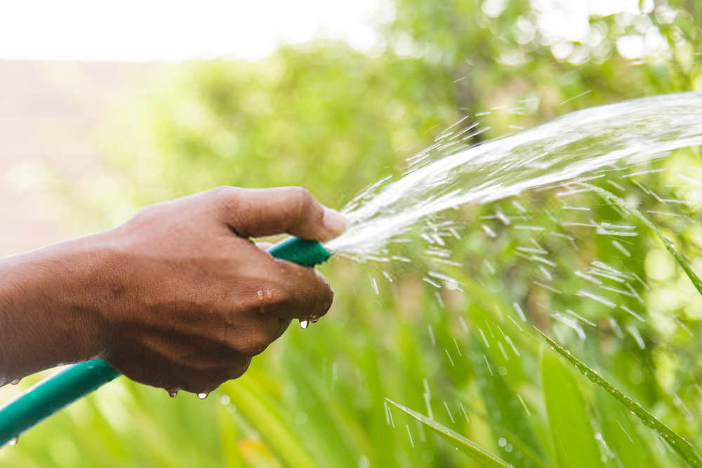 Problema acqua. Un suggerimento: innaffiare, se proprio è indispensabile farlo