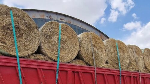 Bonus fieno della Regione, si aggiungono altri 7 centri di distribuzione per gli allevatori: il numero è di 17