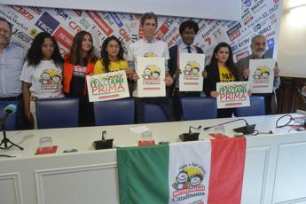 Referendum Cittadinanza, Mirabelli: “Rischio di inammissibilità c’è”