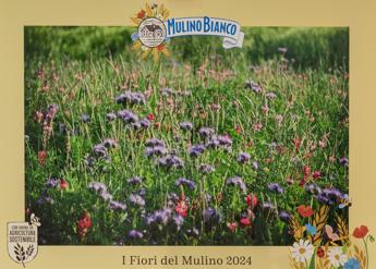Sostenibilità, concorso ‘I Fiori del Mulino’: premio ai campi fioriti più belli
