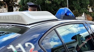 Deteneva in casa 15 tartarughe di specie protetta, denunciato 44enne a Trapani