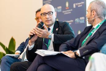 “Diffamatoria petizione contro nomina Vattani”, il Tribunale condanna giornalista