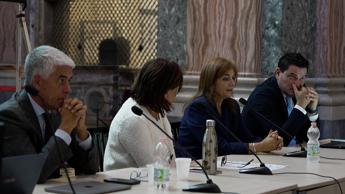 Inps, Tedesco: “Denatalità incide sulla sostenibilità”