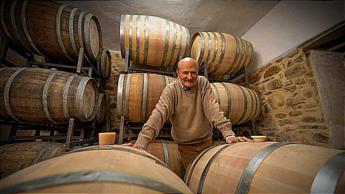 Vino, il Pugnitello di Federico Fazzuoli vince medaglia d’oro al Concours Mondial de Bruxelles