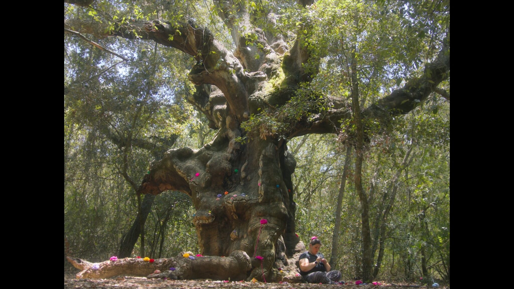 Niscemi. Il 4 novembre in anteprima nazionale al Festival dei Popoli il documentario “Valentina e i MUOStri” di Francesca Scalisi