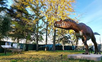 A Roma fine e inizio anno coi Dinosauri, il paleontologo: “Hanno ancora tanto da insegnarci”