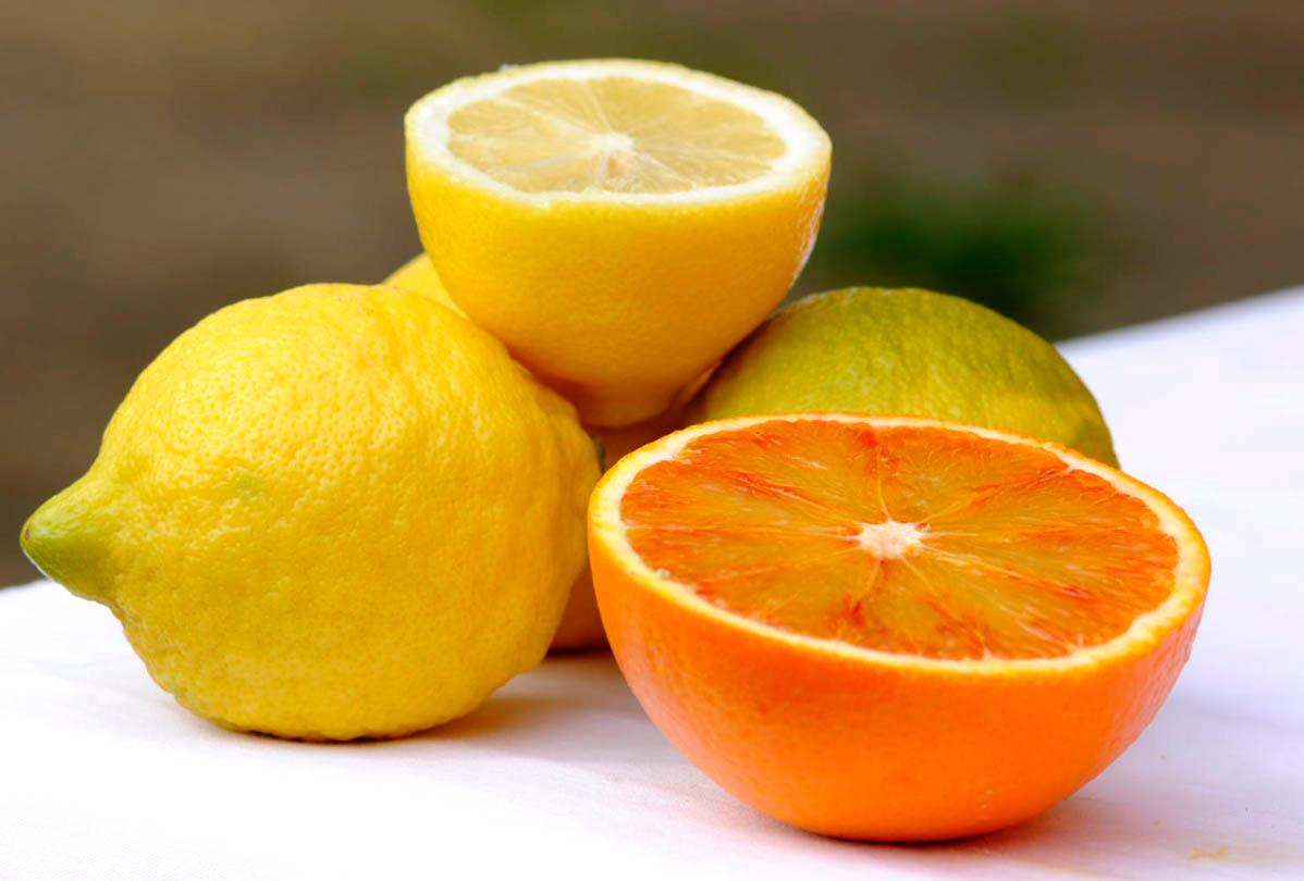 Agrumi siciliani protagonisti del Natale solidale: Distretto Agrumi e Croce Rossa insieme per il TrinaCRIa Camp