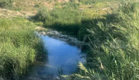 Nell’Agrigentino installate due motopompe presso il fiume Verdura per irrigare gli agrumi di Ribera