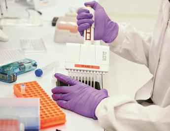 Torna dal Congo e muore, Spallanzani: “Malaria nel sangue”