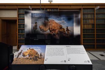 ‘World Unseen’ a Roma, esposizione che ridefinisce esperienza fotografica
