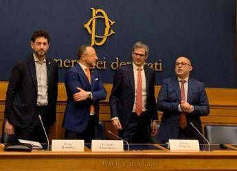 Rc auto, 1,5 mln gli italiani vittima di truffa