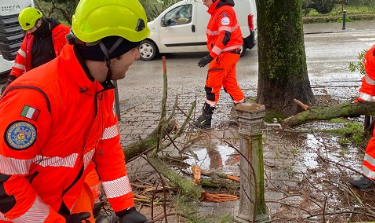 Pioggia e raffiche di vento, alberi caduti nell’Ennese: al lavoro sin dalle prime luci dell’alba i volontari della protezione civile