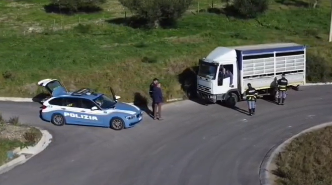 Caltanissetta. Operazione “Alto Impatto”, eseguiti controlli agli autocarri che trasportano animali vivi: sanzionati diversi trasportatori