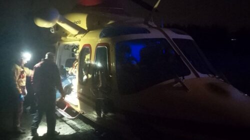 Muore schiacciato mentre stava tagliando un albero