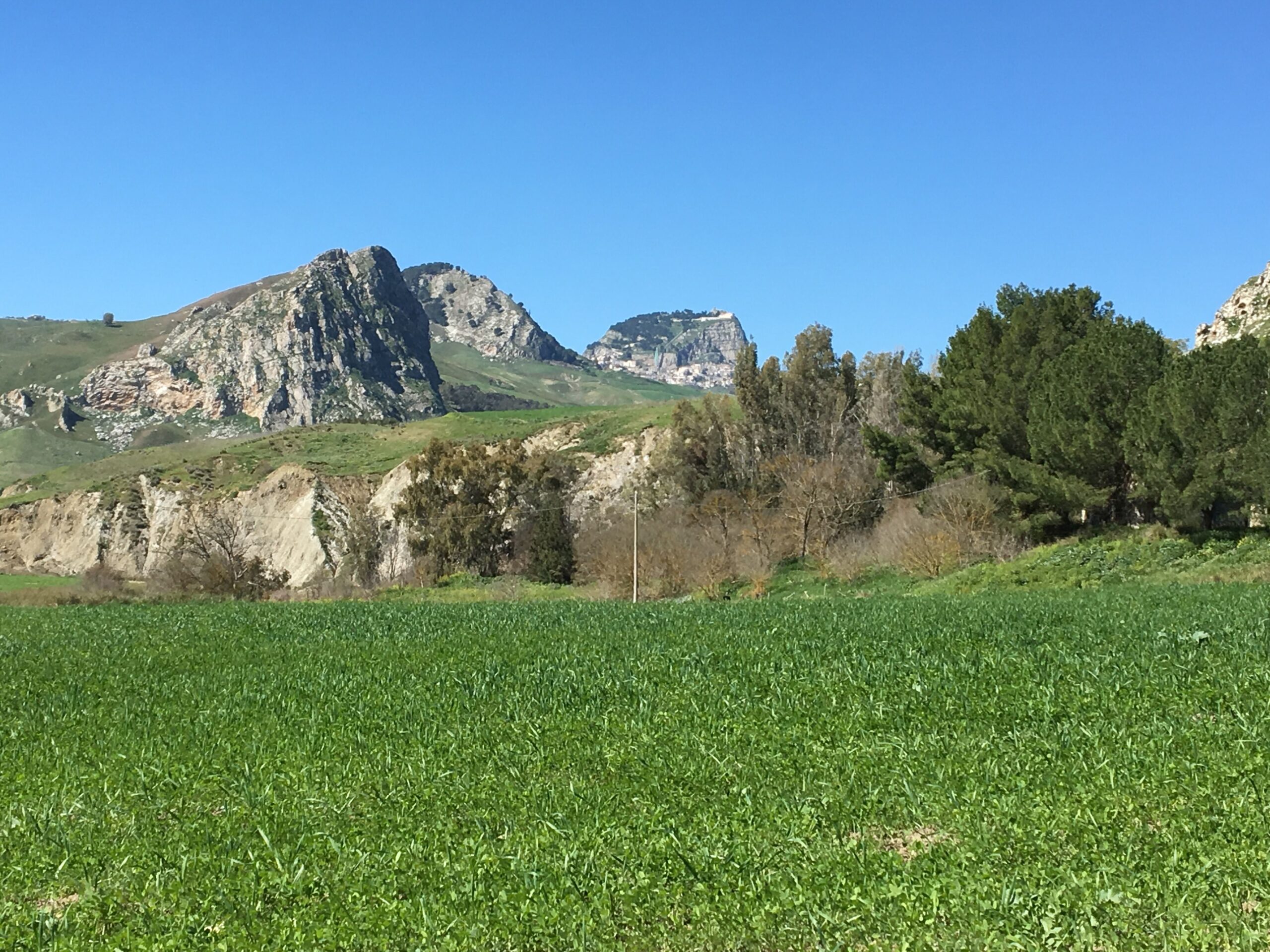 Da quell’antico “stallone sui cantacucchi” (di Salvatore Vaccaro)