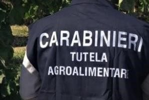 Truffe ai danni UE, Carabinieri: frodi comparto agricolo, confiscati 45mila euro in provincia di Caltanissetta