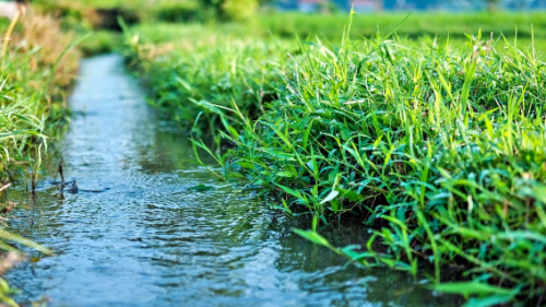 Siccità, Osservatorio Anbi: “Regioni del sud mostrano ripresa recupero idrico”