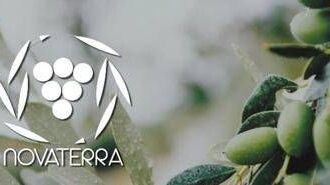 Unaprol, con olio ‘Novaterra’ per olivicoltura sostenibile