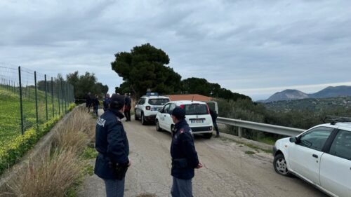 Anziano morto sbranato: cani senza microchip portati in canile; la posizione del proprietario, multato, al vaglio della magistratura