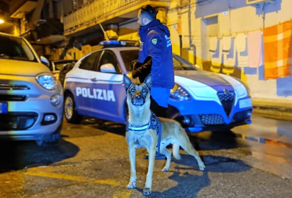 Arrestate nel Nisseno 3 persone per tentato omicidio
