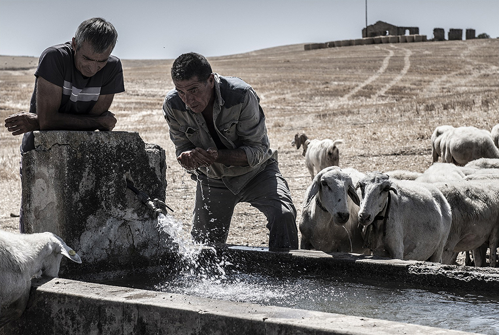 Sicilia. Al via il concorso “Siamo nati al Sud, viaggiamo in Europa” per raccontare tradizione, innovazione e sostenibilità delle infrastrutture siciliane