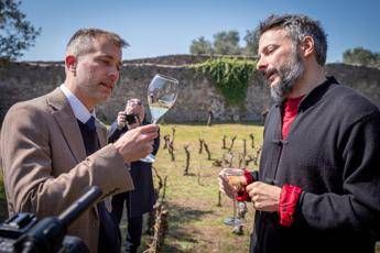 Arriva l’archeo-vino, tra i ruderi di Pompei alleanza tra viticoltura e storia