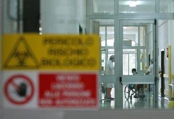 Aviaria, l’allarme: “C’è rischio che diventi pandemia come il Covid”