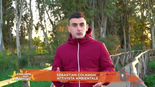 Sicilia. L’ambientalista Sebastian Colnaghi ospite della trasmissione  “Dalla Parte degli Animali” su Rete 4