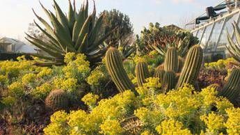 L’ Università di Roma Tor Vergata apre orto botanico a scuole e cittadini per esperienza sostenibile