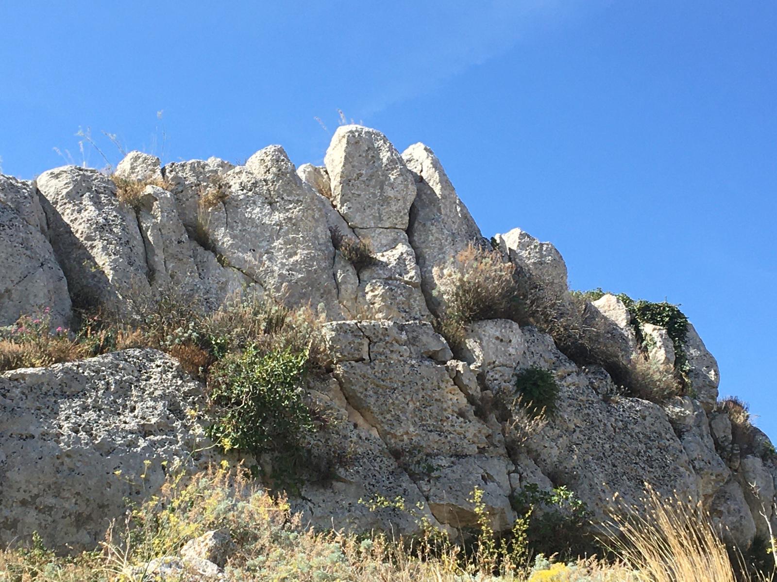 In quegli antichi “feghi di Pulicellu”  di Salvatore Vaccaro