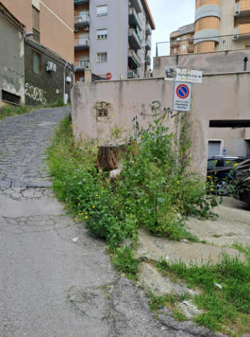 Caltanissetta. Via Verga, cittadino segnala: “Marciapiedi con la copertura irregolare e buche enormi”