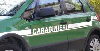 Scaricavano rifiuti nella riserva naturale delle Saline di Trapani, 2 denunce