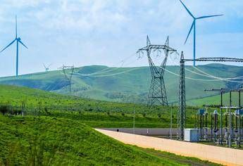 Terna, nel 2024 ricavi a 3,68 mld (+15,5%): utile netto a 1,06 mld (+19,9%)