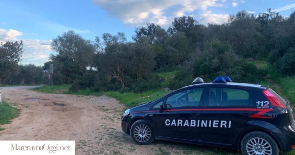 Cercava funghi nel bosco con il suo cane ed ha ritrovato barattolo con 900 grammi di cocaina
