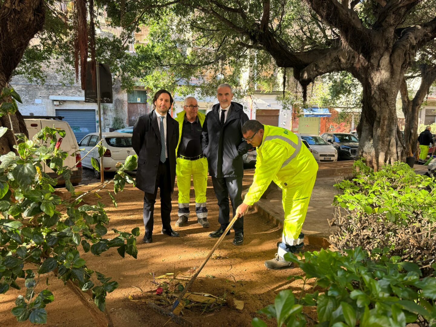 Rimossa carcassa animale a Palermo, Ferrandelli: “Serve un cimitero”
