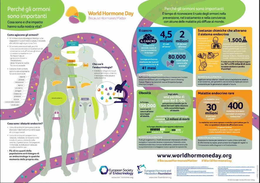 World Hormone Day, AME accende i riflettori sugli interferenti endocrini