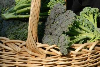 Broccoli superfood anti-aging, l’immunologo-nutrizionista: “Non può mancare 2 volte a settimana, sorprendente e salutare”