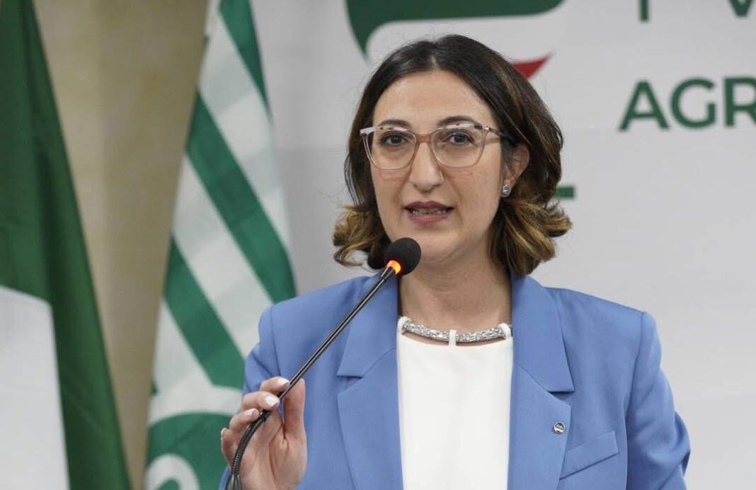 Museo dei Relitti Greci a Gela, Petralia (Cisl): “La cultura come leva per lo sviluppo economico e sociale”