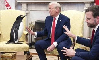 Dazi, perchè Trump tassa foche e pinguini? La versione Usa