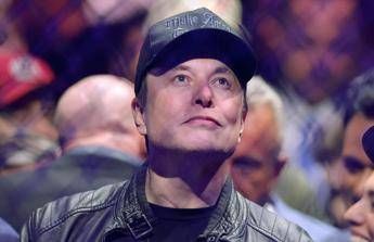 “Elon Musk pronto a lasciare incarico governativo”, cosa dice il Washington Post