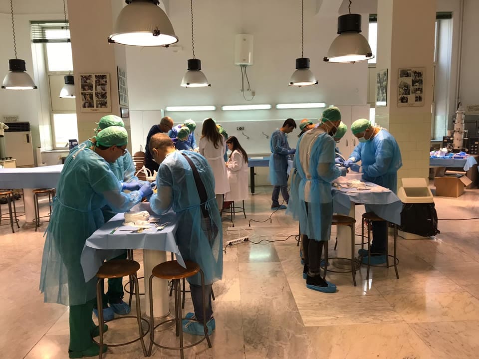 Salute dell’uomo ed ecosistema, proseguono i lavori a Palermo del 97esimo Congresso scientifico dei biologi sperimentali italiani