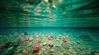 Innovativa tecnologia grafene-polisulfone per la rimozione di contaminanti emergenti dall’acqua potabile