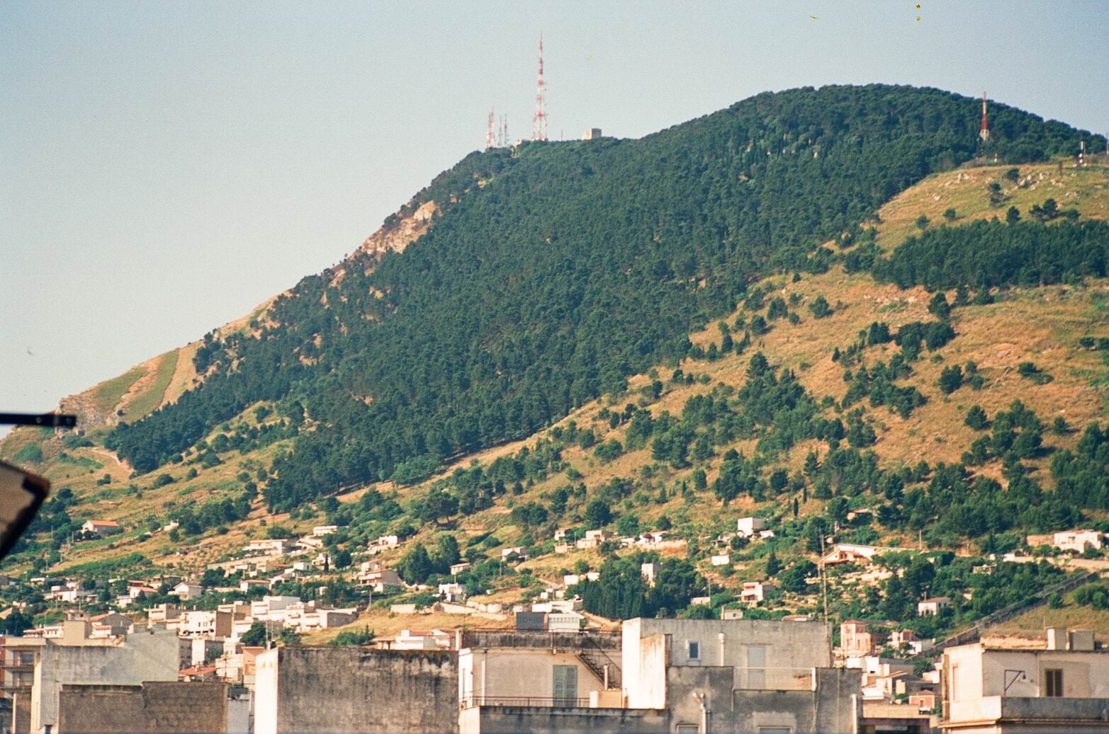 Collettivo Muschio Ribelle: “Sulla Riserva Naturale Bosco d’Alcamo persa grande occasione”