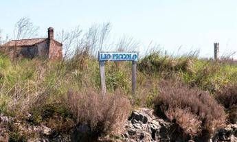 Nella laguna di Venezia ‘ostriarium’ con 300 gusci di ostriche