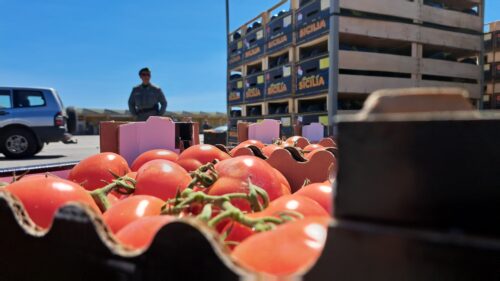 Siracusa, donate al Banco alimentare 16 tonnellate di ortaggi sequestrati dal Noras