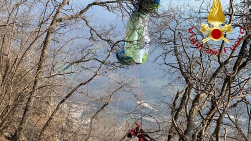 Pilota di parapendio precipita ma resta illesa dopo essere finita sopra un albero