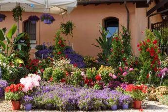 Roma: torna Floracult, la fiera sempre più ricca di fiori ed eventi alla 14esima edizione
