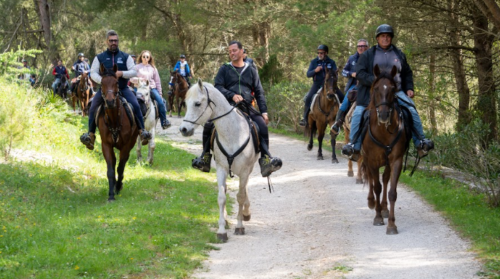 “Una cavalcata per un respiro”, conclusa con successo la settima edizione del Raduno Equestre Regionale di Castellammare del Golfo
