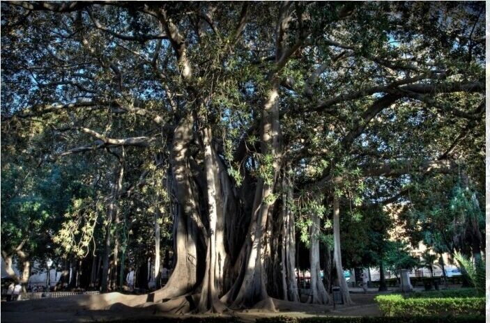 Salute ed ecosistema al centro del 97esimo Congresso scientifico dei biologi sperimentali italiani: il 10 aprile a Palermo il primo appuntamento